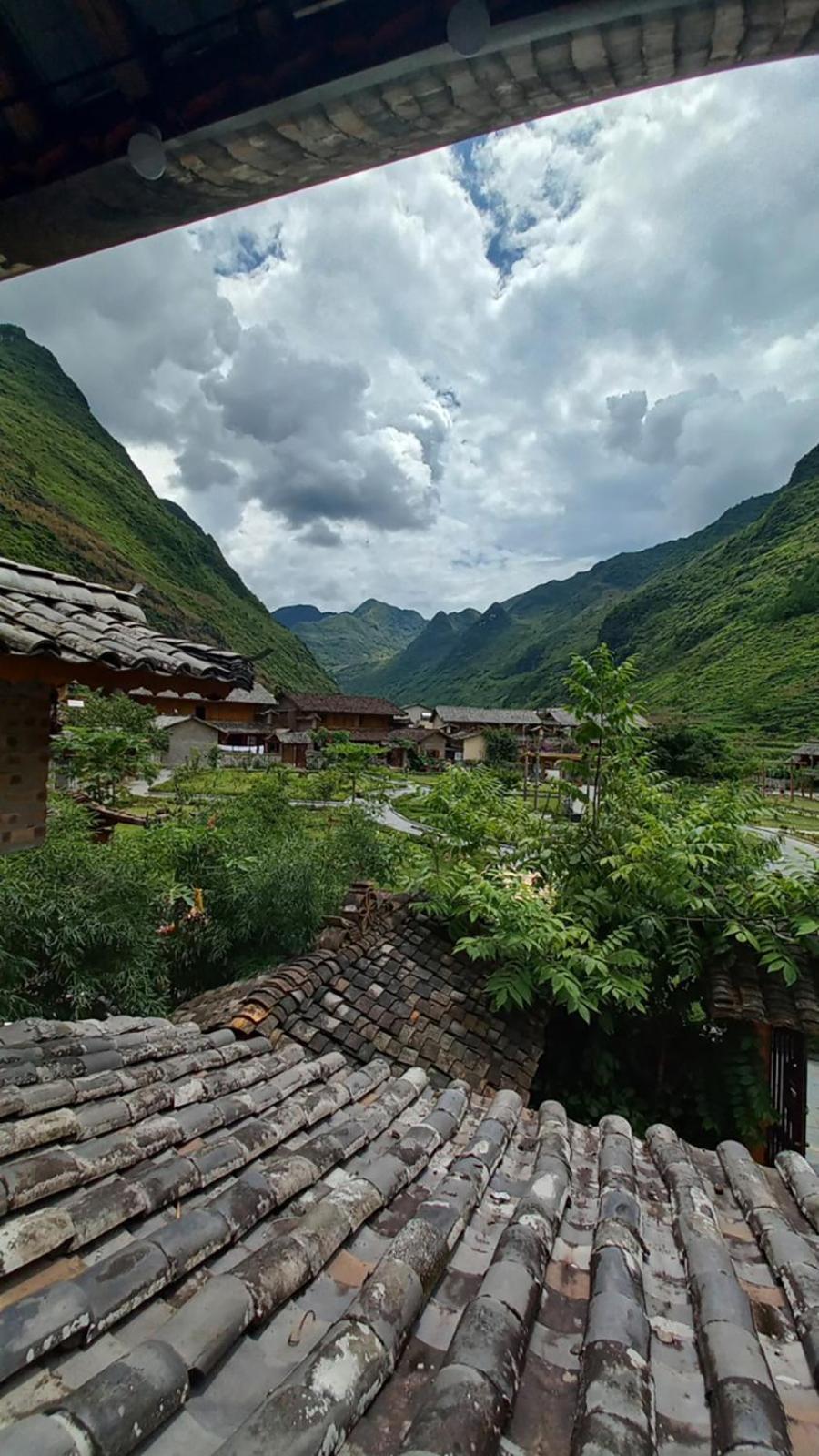 Meovac Ethnic Homes *